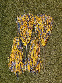 Southern University Spirit Shakers